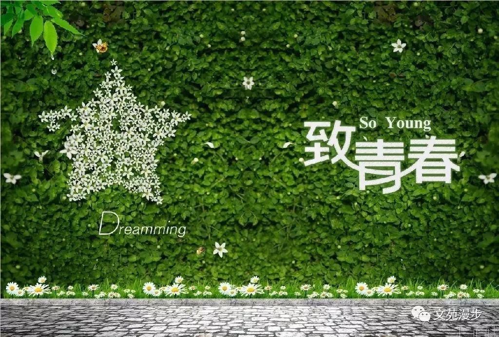 蔡琳  ​致青春
