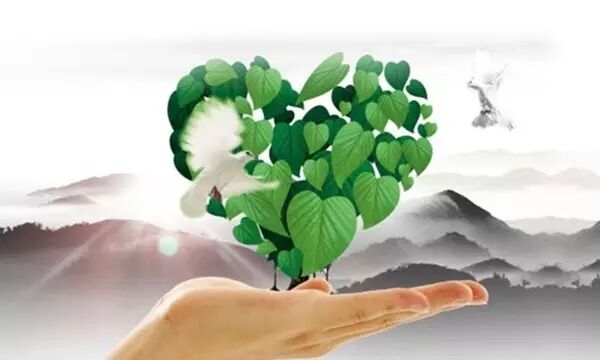 输了健康，赢了世界又如何！