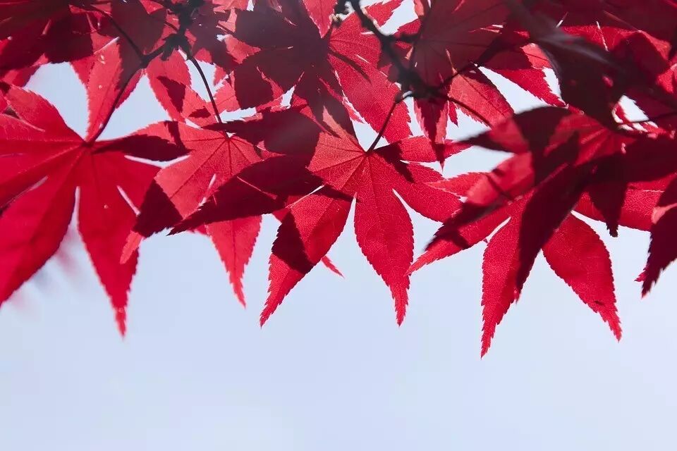 测试丨在圈中好友眼里你是什么人？