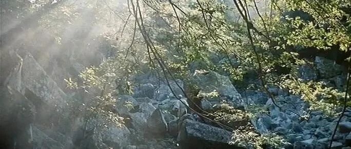 点阅读原文，看百年经典老电影⭐看电影《空山灵雨》豆瓣8.4 国产怀旧武侠片~1979