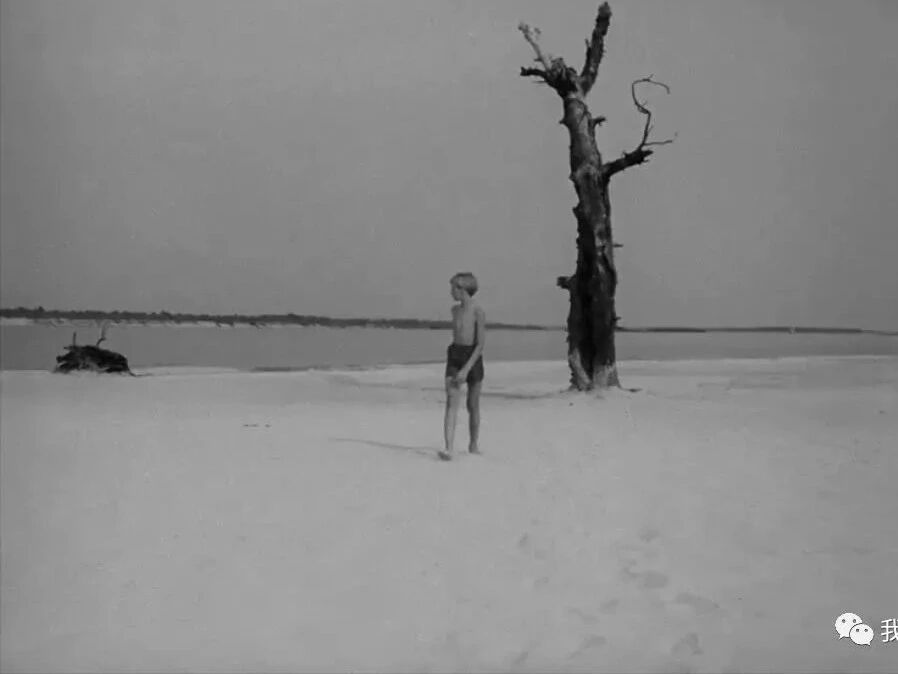 6部中外经典影片-5