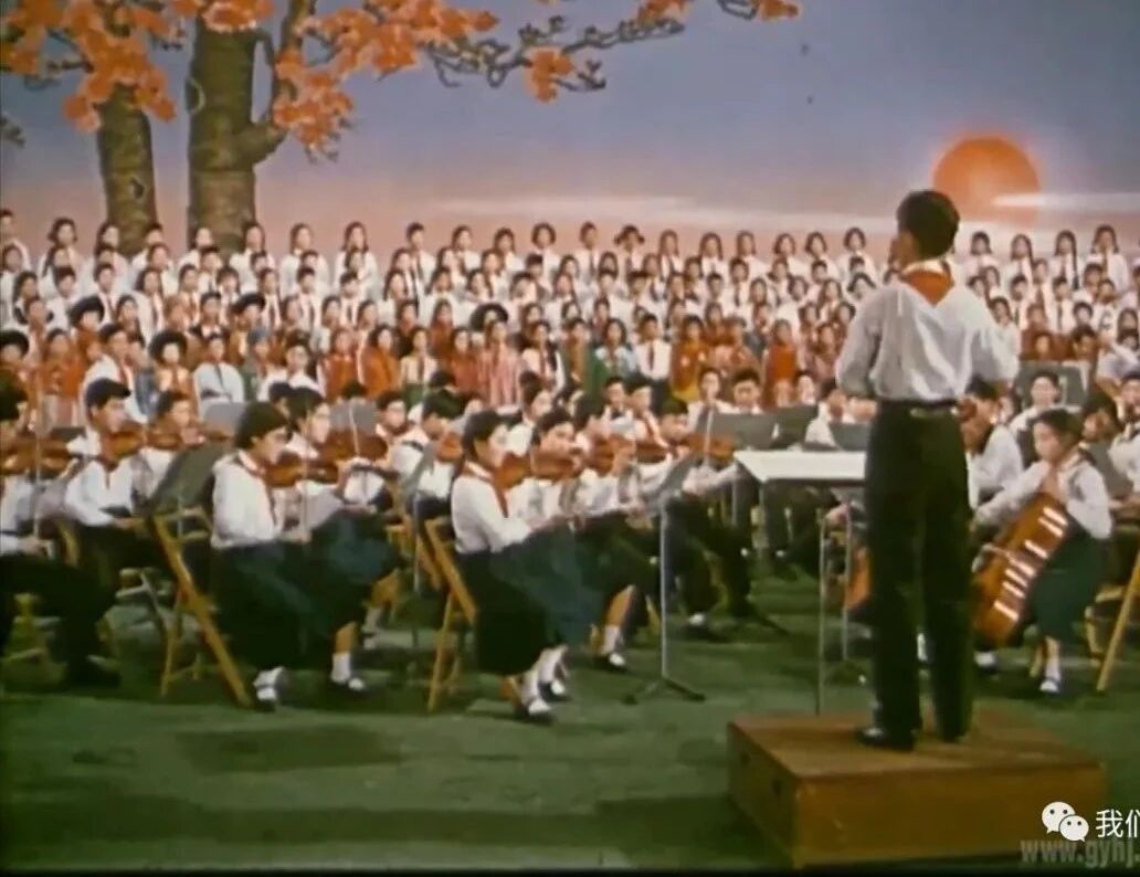 亲子电影｜花儿朵朵