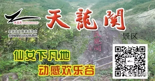 【活动】天龙关景区首届七彩风车展震撼来袭，1500张门票免费不停(图7)