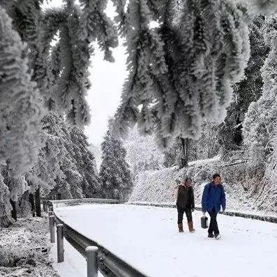 雪村雪事