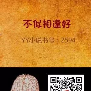 YY小说《不似相逢好》唐笑 成烈小说全部章节 书号2594