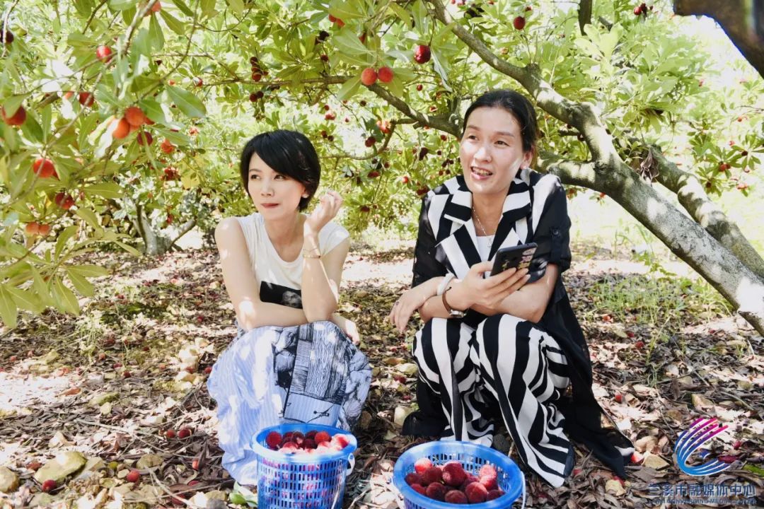 兰溪杨梅女明星都欲罢不能的甜蜜从此刻开启