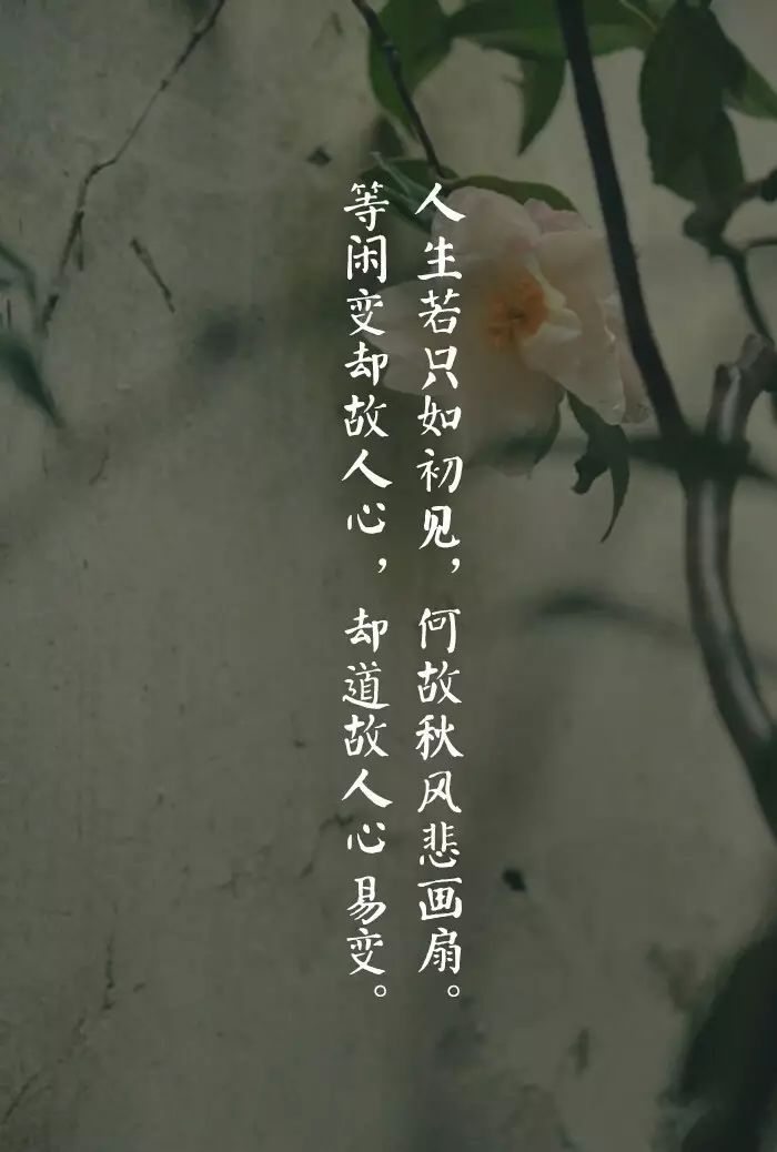 人生若只如初见