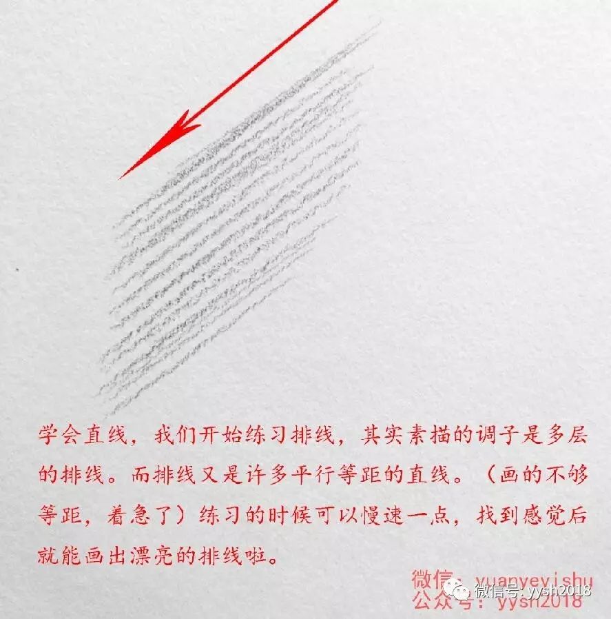 学会直线,我们开始练习排线,其实素描的调子是多层的排