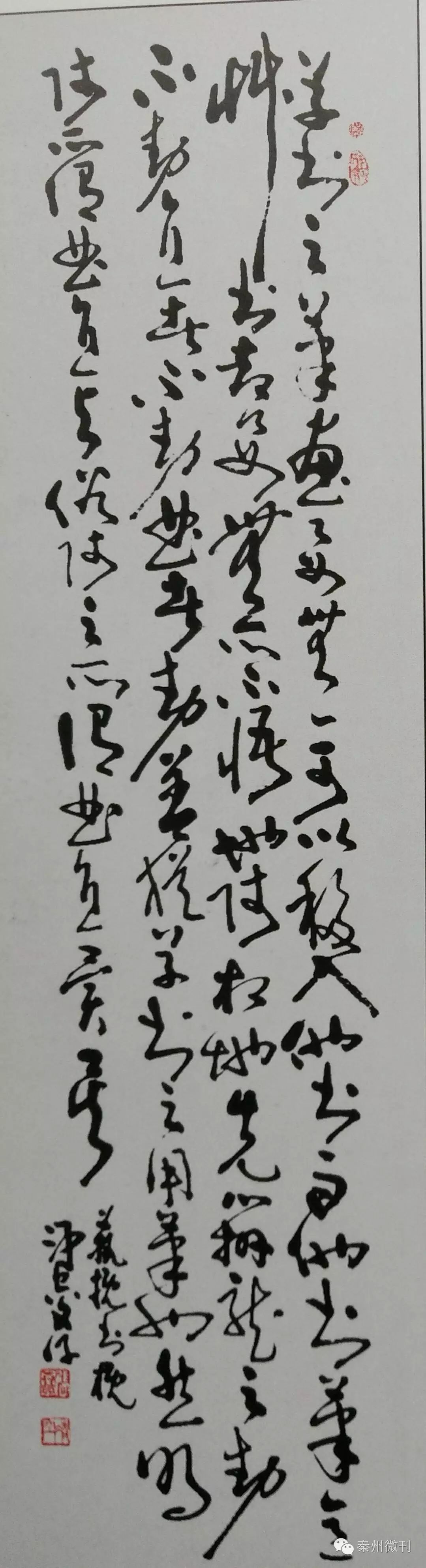 【秦人书画【张文学】杨家寺书画展前辈书法作品欣赏