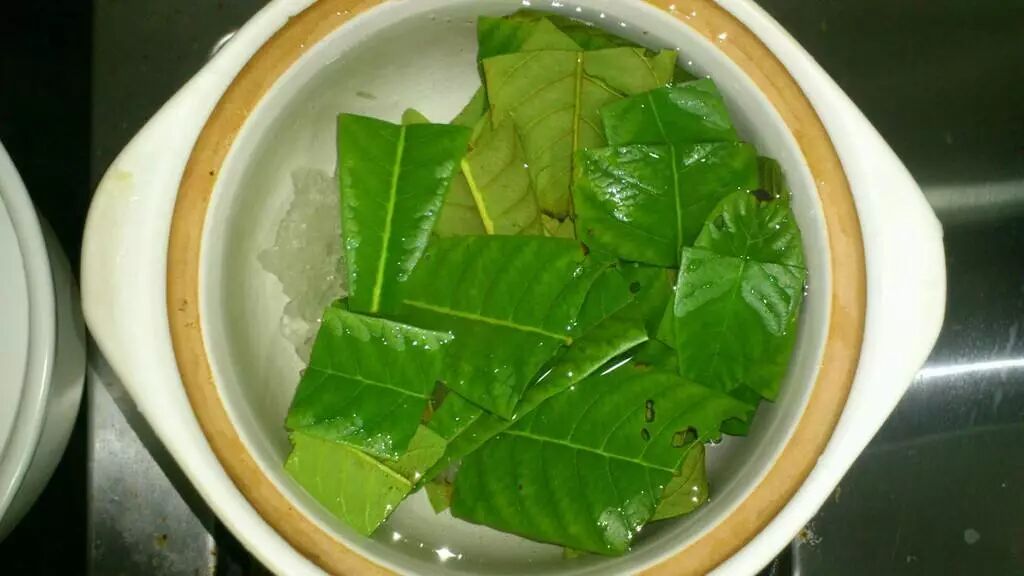 枇杷叶煮水