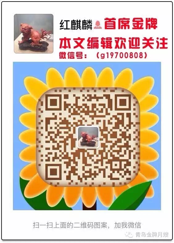 怀孕两个月胎儿发育过程图-怀孕期