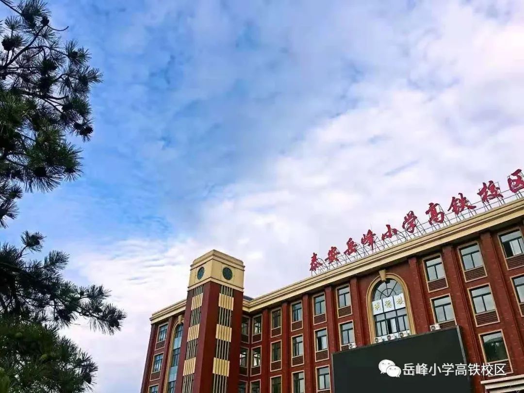 防止自然灾害岳峰小学高铁校区安全演练