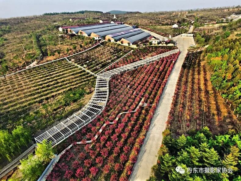 丹东馨艺度假山庄北美海棠园迎来盛花期