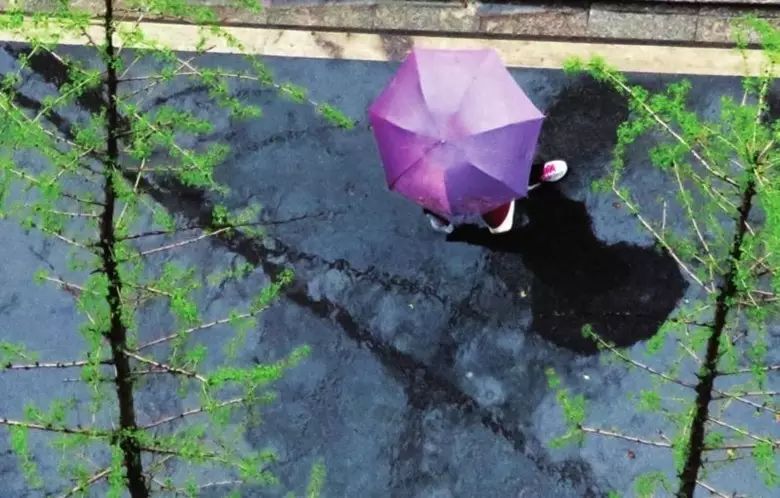 清明时节雨纷纷,清明节,你那里下雨了么?