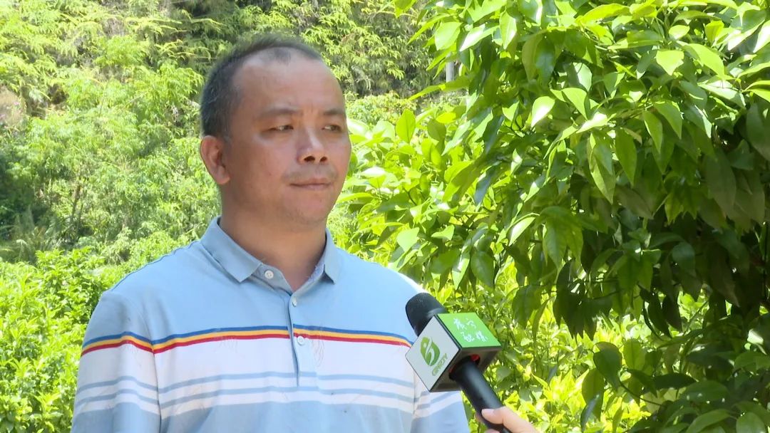 广宁县潭布镇首佳生态农业合作社成立于2019年8月,占地规模约680亩