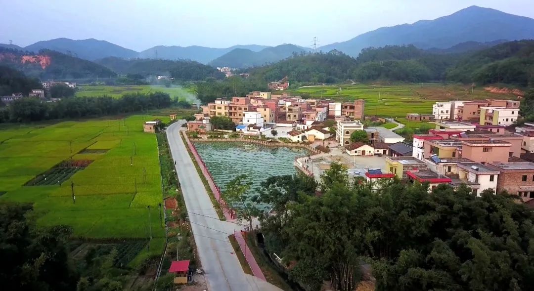 我们这五年|江美村深入推进"红色村"建设助推乡村振兴-肇庆市广宁县