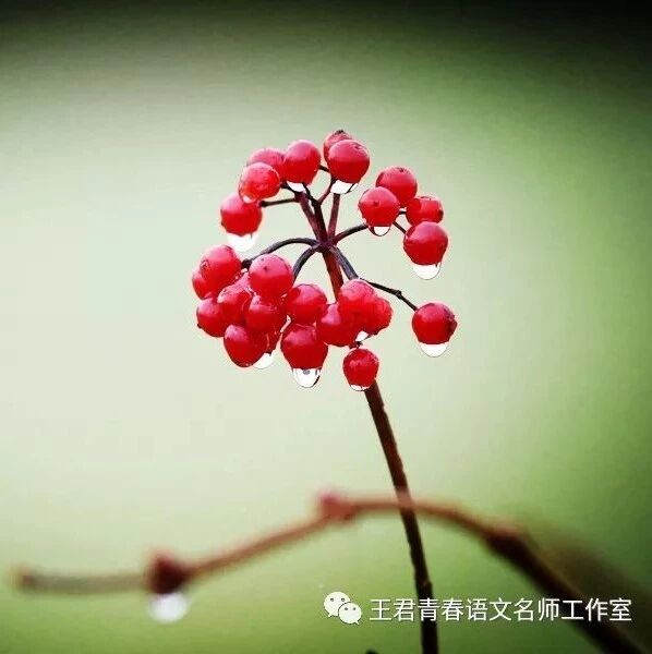 想起您时，清风吹过带着泥土的香……