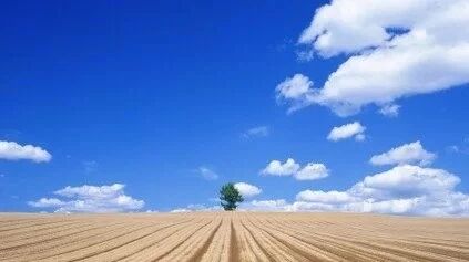 【青春语文·孙秋备课内整合教学研究（十三）】巧妙导引显主体 删繁就简现本真 ---从《一滴水经过丽江》看肖培东自读课教学艺术
