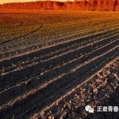 【青春语文  翠红文本特质实践研究（二）】《土地的誓言》诵读型文本教学设计