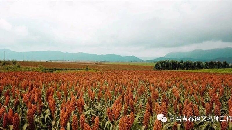 【青春语文  翠红文本特质实践研究（一）】简析《土地的誓言》层次美