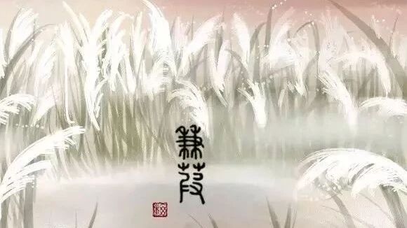 【青春语文•魏志强文本解读（十六）】在比较中体味《蒹葭》的朦胧美