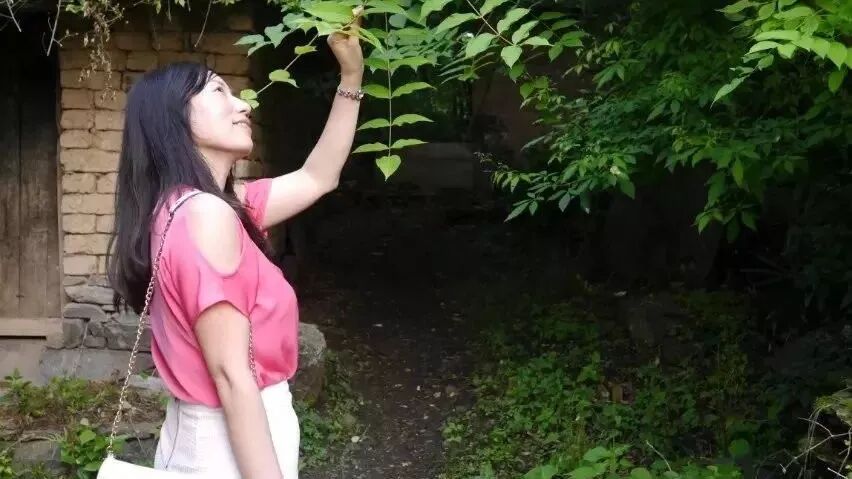 【青春语文·张绪凤关于名师教学研究（一）】“青春”润泽生命拔节