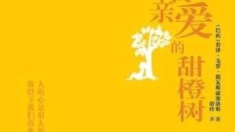 【青春语文  翠红名师课例研习（1）】删繁就简三秋树，领异标新二月花 ——著名特级教师王君《<亲爱的甜橙树>名著赏析》课例研习