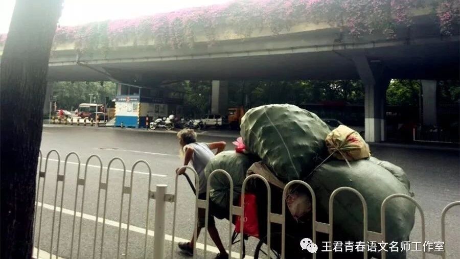 【青春语文•熊幸微写作研究之五】《虫子旁》与图文微写作
