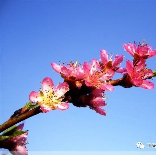 艳平读水浒（6）——晁班长与宋班长比，差在哪里？