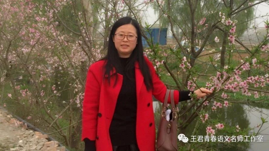 【青春语文▪张娟关于名师课堂研究之六】 “整合”思想教学研究