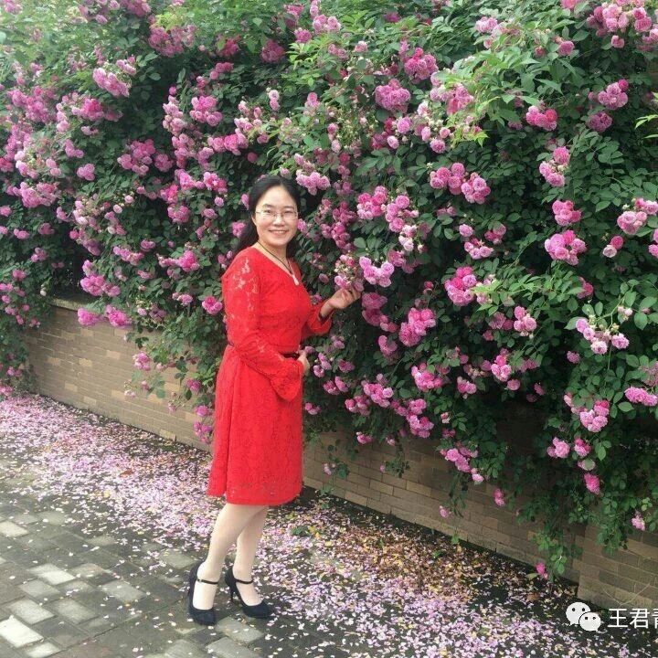 师在