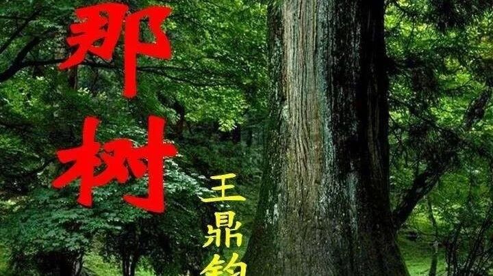【青春语文·陈晓东“一语立骨”研究十四】陈晓东三次一语立骨王鼎钧《那树》（含师父王君点评）