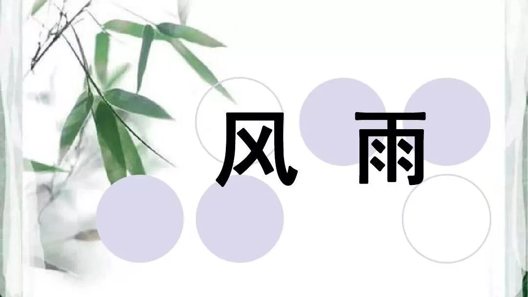 善掘文本资源，读写高效结合 ——评司艳平老师的《风雨》课堂实录