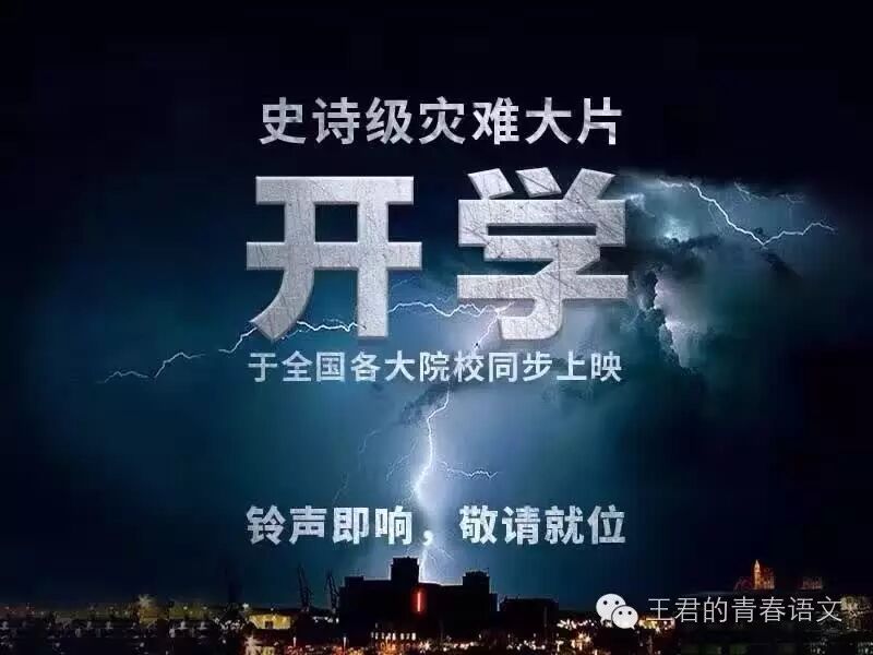 王君：一切不以谈恋爱为目标的上班都是慢性自杀