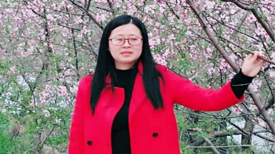 【青春语文▪张娟关于名师课堂研究之四】“整合”思想教学研究