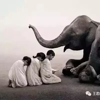 【青春语文研究】王君：青春语文：见自我，见天地，见众生 （第四讲）