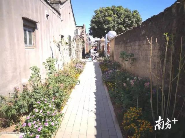 文创艺术网红村走上庭院经济振兴路走进龙湖区新海街道十一合村