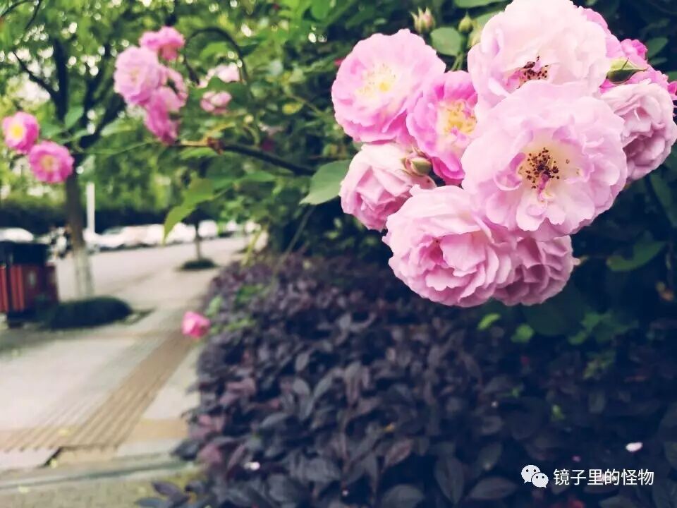 讨论|华晨宇为什么这么牛