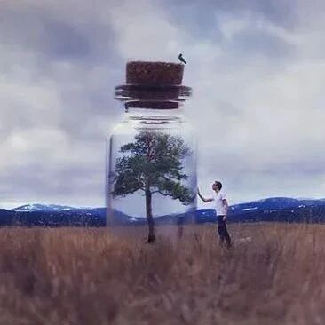 累了，痛了，不必告诉谁……