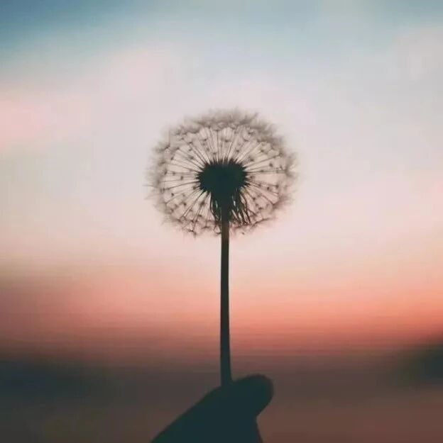 人生八种恩，至死不能忘！