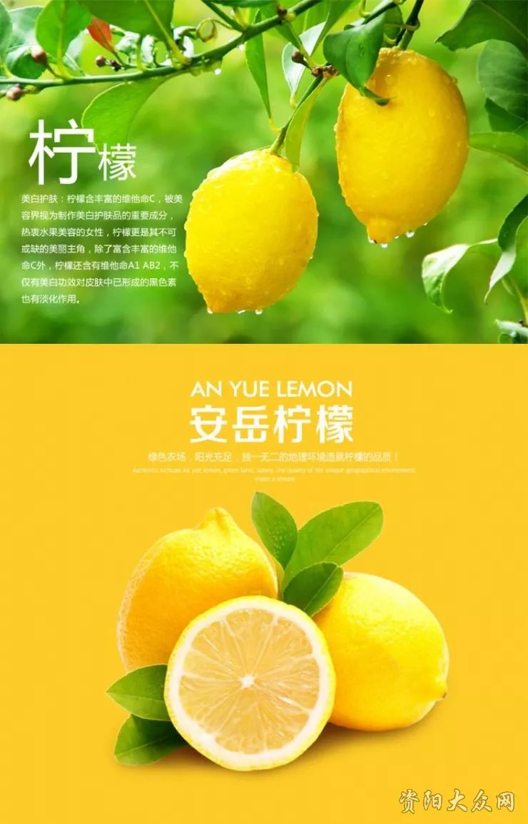 2017川菜创新大赛安岳柠檬美食周十佳柠檬菜品网络投票正在进行中