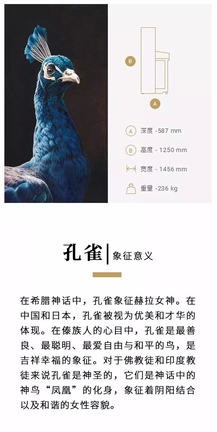 ▼ / 钢琴 / 声乐 / 舞蹈 / 小提琴 / 大提琴 / 吉他 / 古筝 / 金
