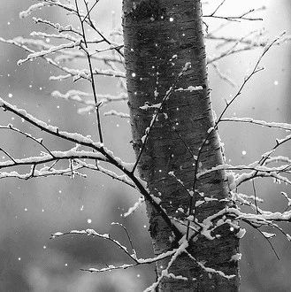 -10℃+济南初雪!济南明天或迎初雪!气温将狂降至-10℃!山东多地发布寒潮预警!