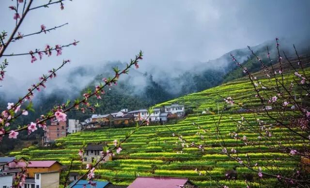 开化台回山,嘉阳小火车,福建霞浦,新疆库车老城,山东青岛,云南泸沽湖,江苏扬州,安徽齐云山,桂林阳朔,西藏林芝,近米jmeet旅游,