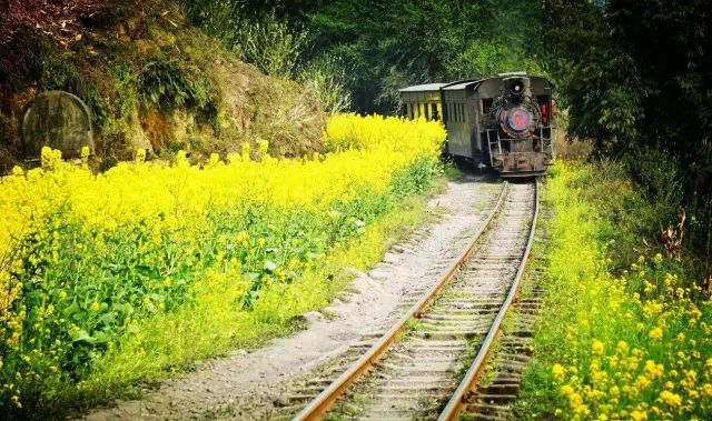 开化台回山,嘉阳小火车,福建霞浦,新疆库车老城,山东青岛,云南泸沽湖,江苏扬州,安徽齐云山,桂林阳朔,西藏林芝,近米jmeet旅游,