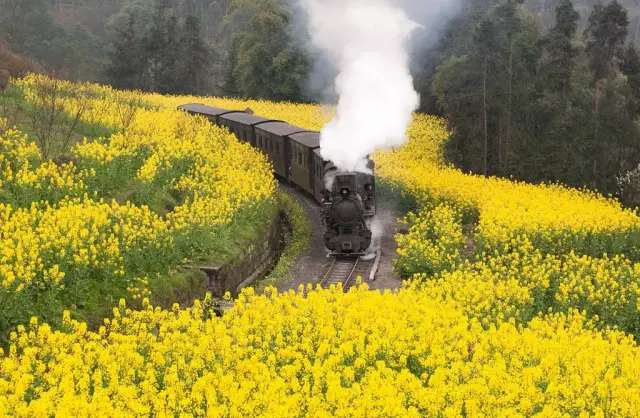 开化台回山,嘉阳小火车,福建霞浦,新疆库车老城,山东青岛,云南泸沽湖,江苏扬州,安徽齐云山,桂林阳朔,西藏林芝,近米jmeet旅游,