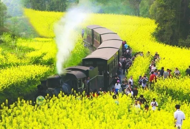 开化台回山,嘉阳小火车,福建霞浦,新疆库车老城,山东青岛,云南泸沽湖,江苏扬州,安徽齐云山,桂林阳朔,西藏林芝,近米jmeet旅游,