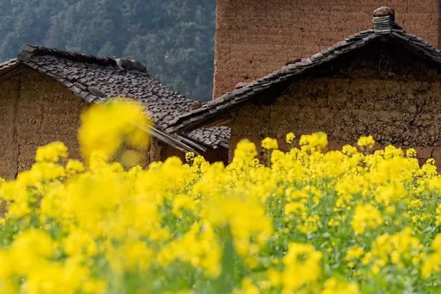 开化台回山,嘉阳小火车,福建霞浦,新疆库车老城,山东青岛,云南泸沽湖,江苏扬州,安徽齐云山,桂林阳朔,西藏林芝,近米jmeet旅游,