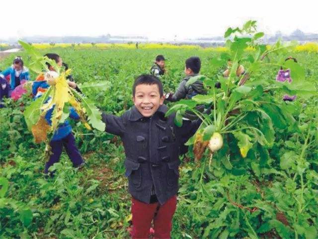 古羌传奇物品代码,古羌传奇70以后去哪里升级