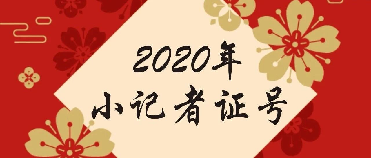 宅在家里看|2020年衢报小记者证号第36弹(龙游3.)
